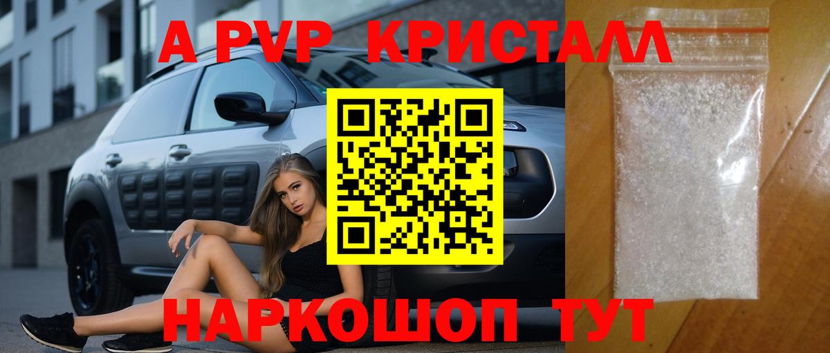 Альфа ПВП СК Новошахтинск