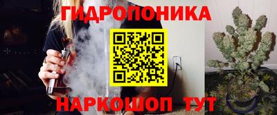 Альфа ПВП Обь