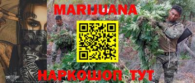 Альфа ПВП Обь