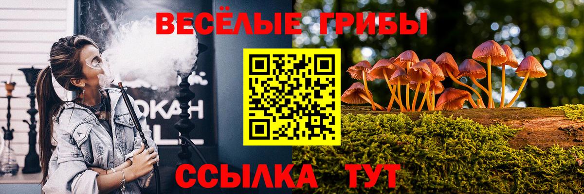  COCAIN Новошахтинск