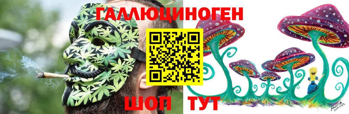 Галлюциногенные грибы Psilocybe  Вход с VPN  Новошахтинск 